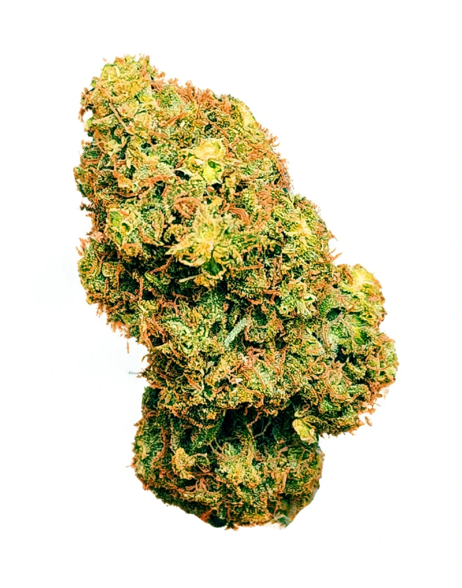Buy Black Kush Hybrid Cannabis Weed Strain in Bangkok, Thailand and order online