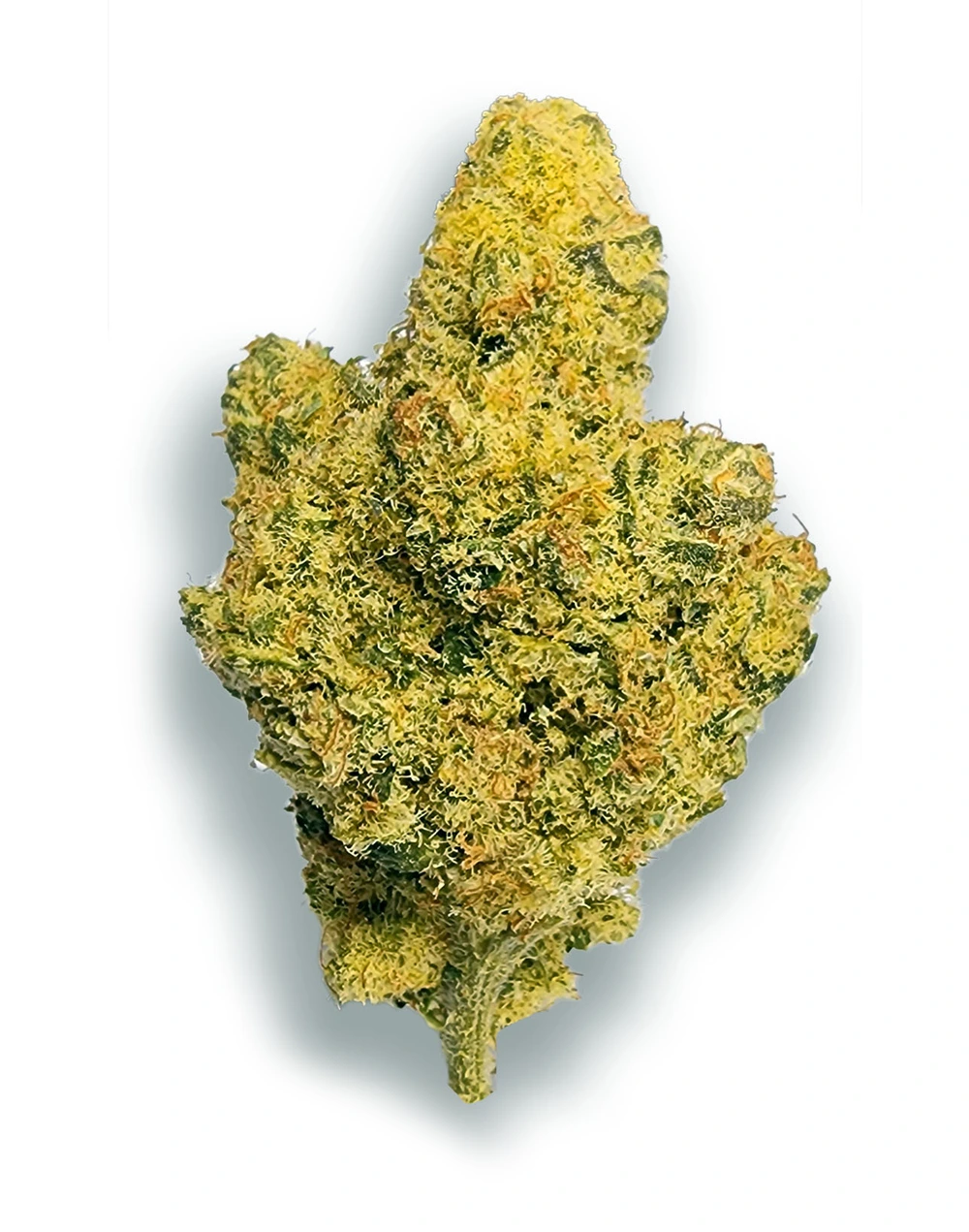 Buy Grandpa's Cookies in Bangkok & Thailand Supahigh