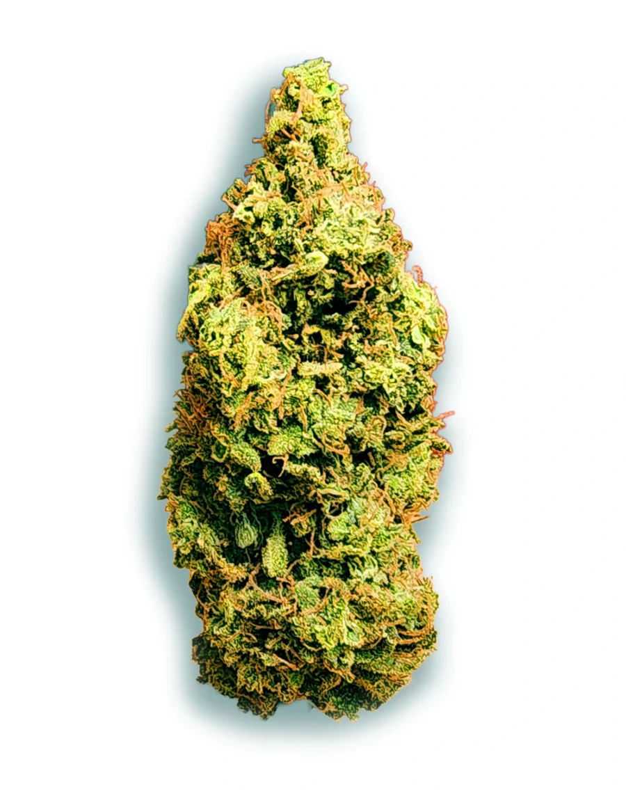 Buy Platinum Punch Hybrid Cannabis Weed Strain in Bangkok, Thailand online