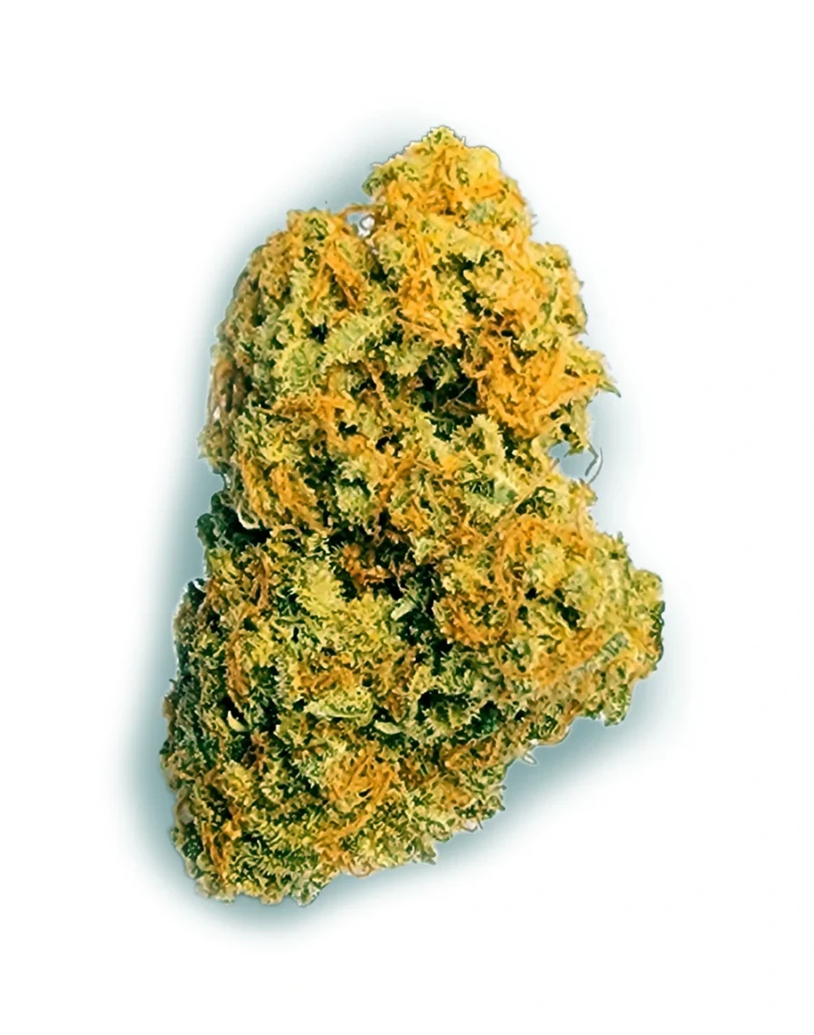 Buy Runtz Hybrid Cannabis Weed Strain in Bangkok, Thailand online