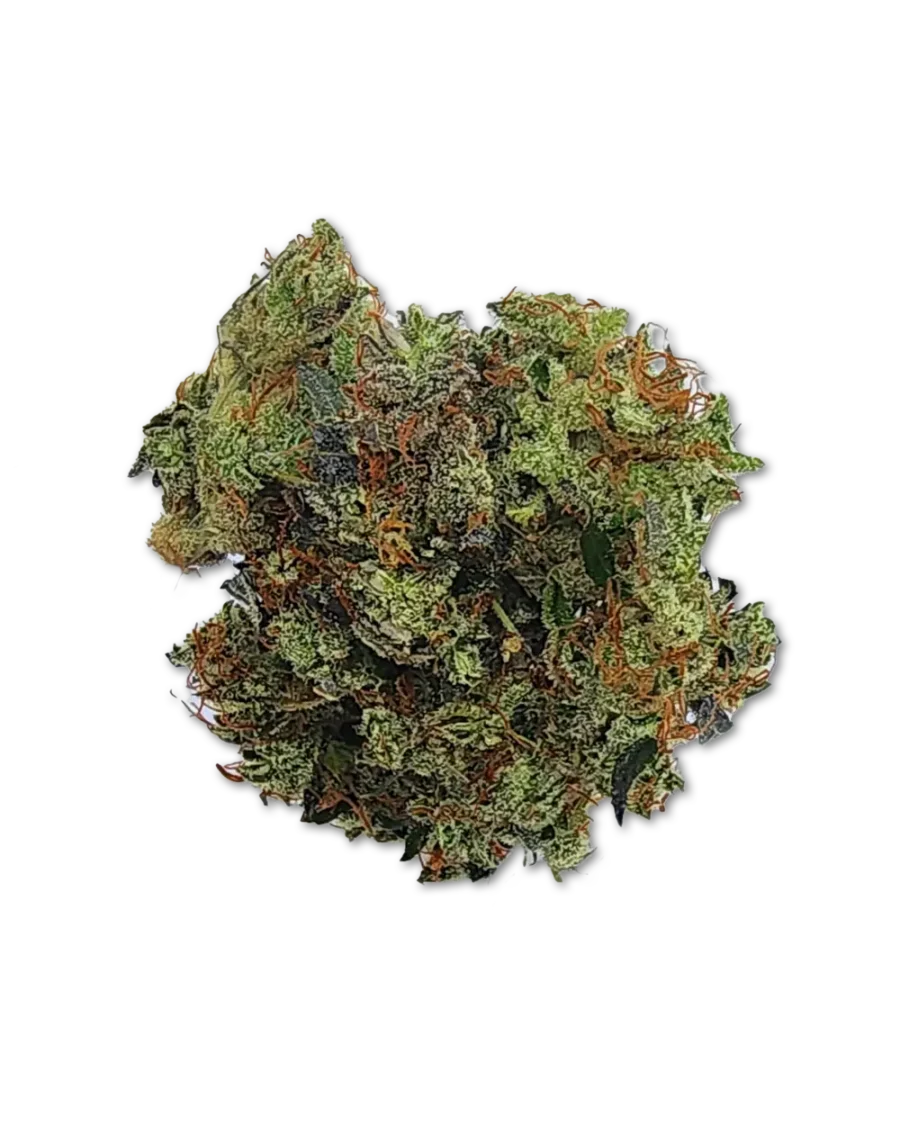 Buy Apollo Black Cherry Hybrid Cannabis Strain Weed online with delivery in Bangkok and Thailand