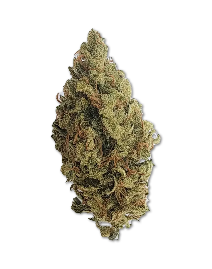 Buy Banana Split Sativa Cannabis Strain Weed online with delivery in Bangkok and Thailand