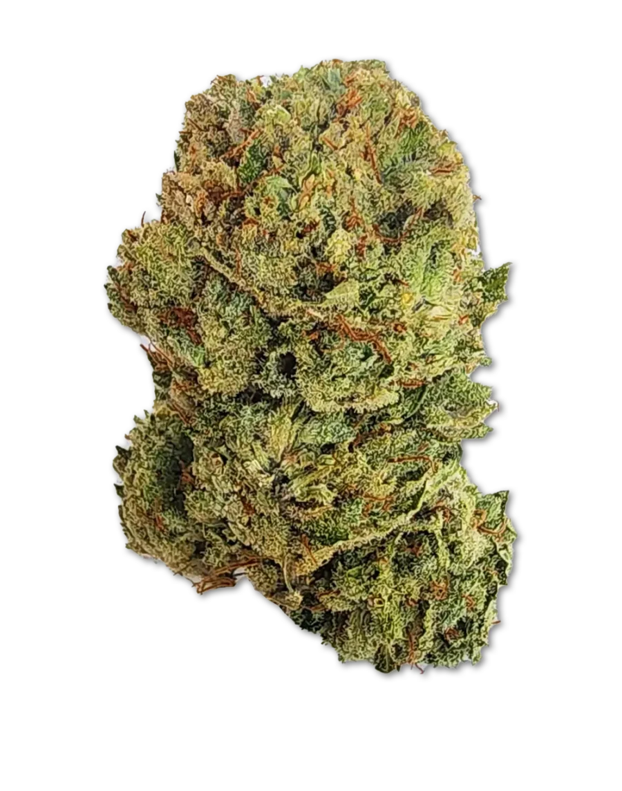 Buy Cinderella Jack Sativa Weed online with delivery in Bangkok and Thailand