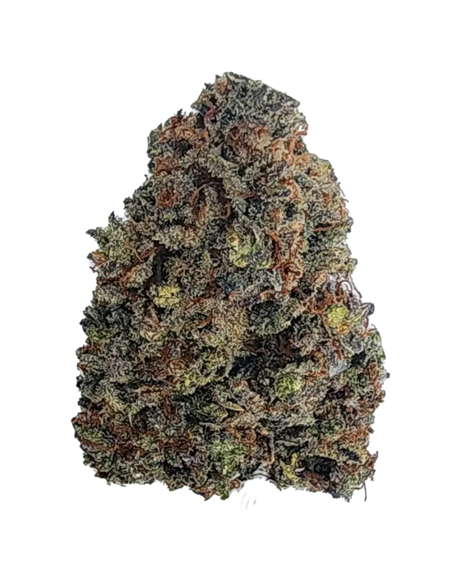 Buy Forbidden Runtz Indica Cannabis Strain Weed online with delivery in Bangkok and Thailand