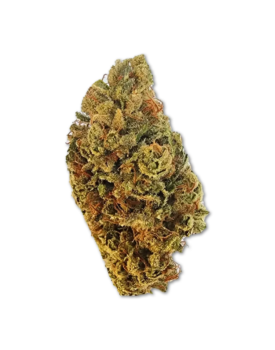 Buy Ghosts of New York Indica Cannabis Strain Weed online with delivery in Bangkok and Thailand