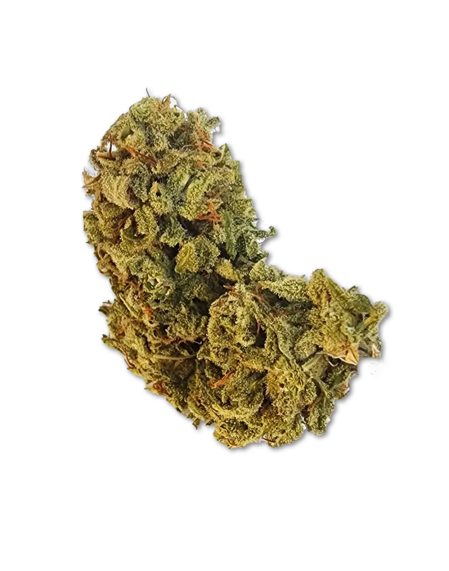Buy Northern Thunderfuck Hybrid Cannabis Strain Weed online with delivery in Bangkok and Thailand