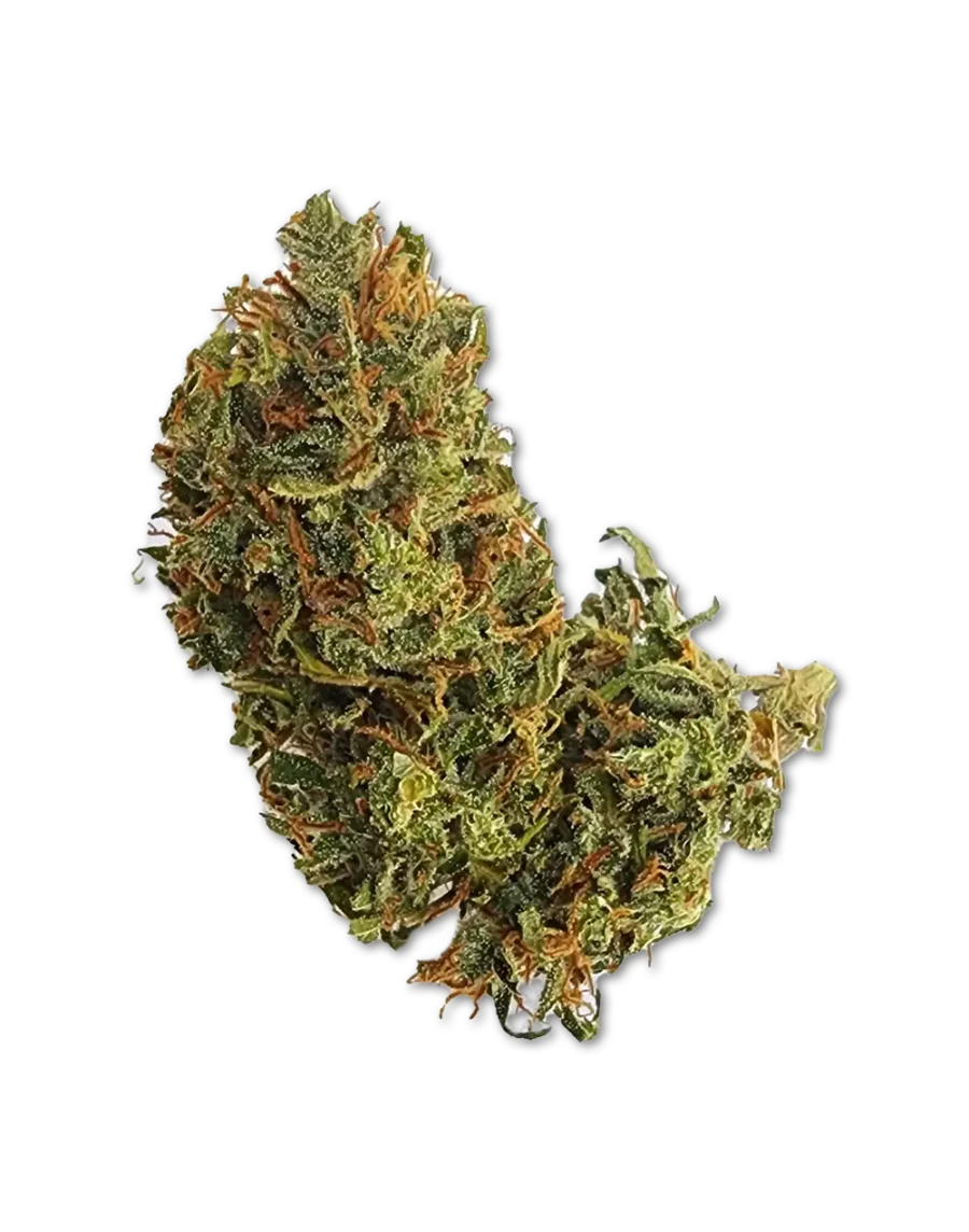 Buy Strawberry Pie Indica Cannabis Strain Weed Buds online with delivery in Bangkok and Thailand