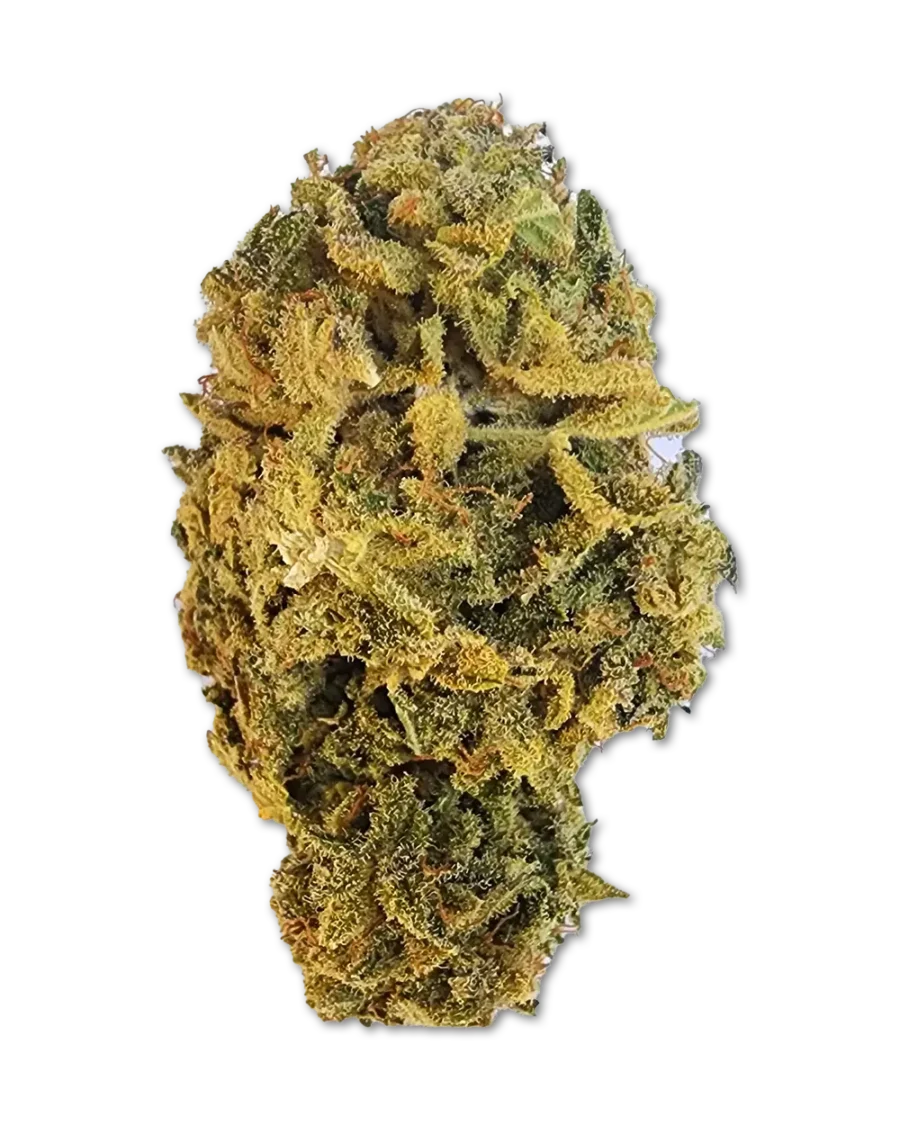 Buy Sugar Punch Sativa Weed online with delivery in Bangkok and Thailand