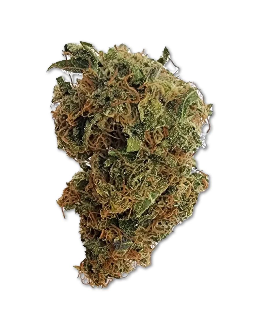 Buy Sweet Bourbon Kush Indica Cannabis Strain Weed Buds online with delivery in Bangkok and Thailand