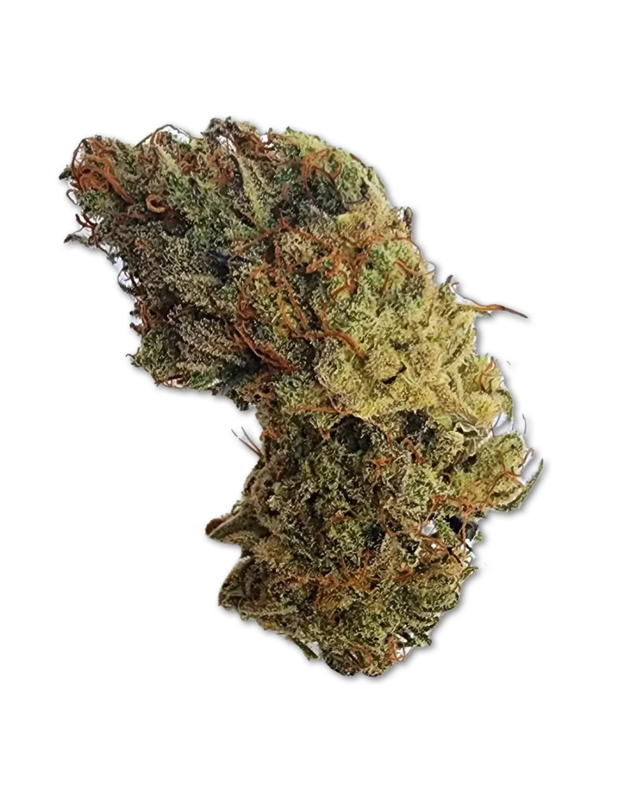 Buy White Widow Hybrid Cannabis Strain Weed online with delivery in Bangkok and Thailand