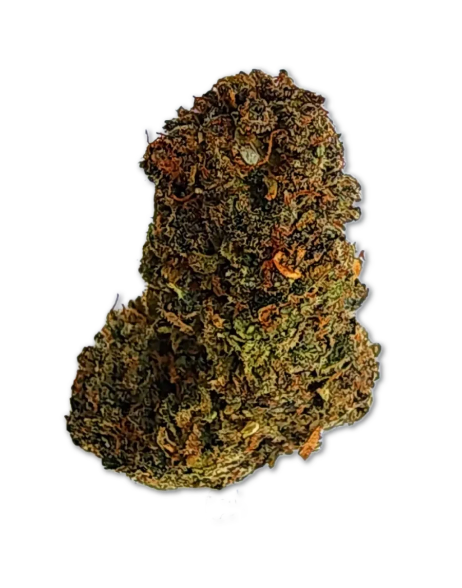 Buy Citradelic Sunset Sativa Cannabis Strain Weed online with delivery in Bangkok and Thailand
