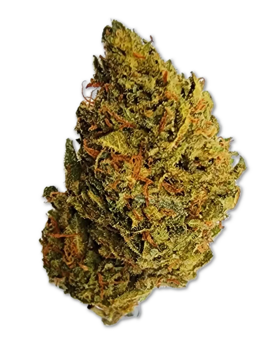 Buy HulkBerry Sativa Cannabis Strain Weed online with delivery in Bangkok and Thailand
