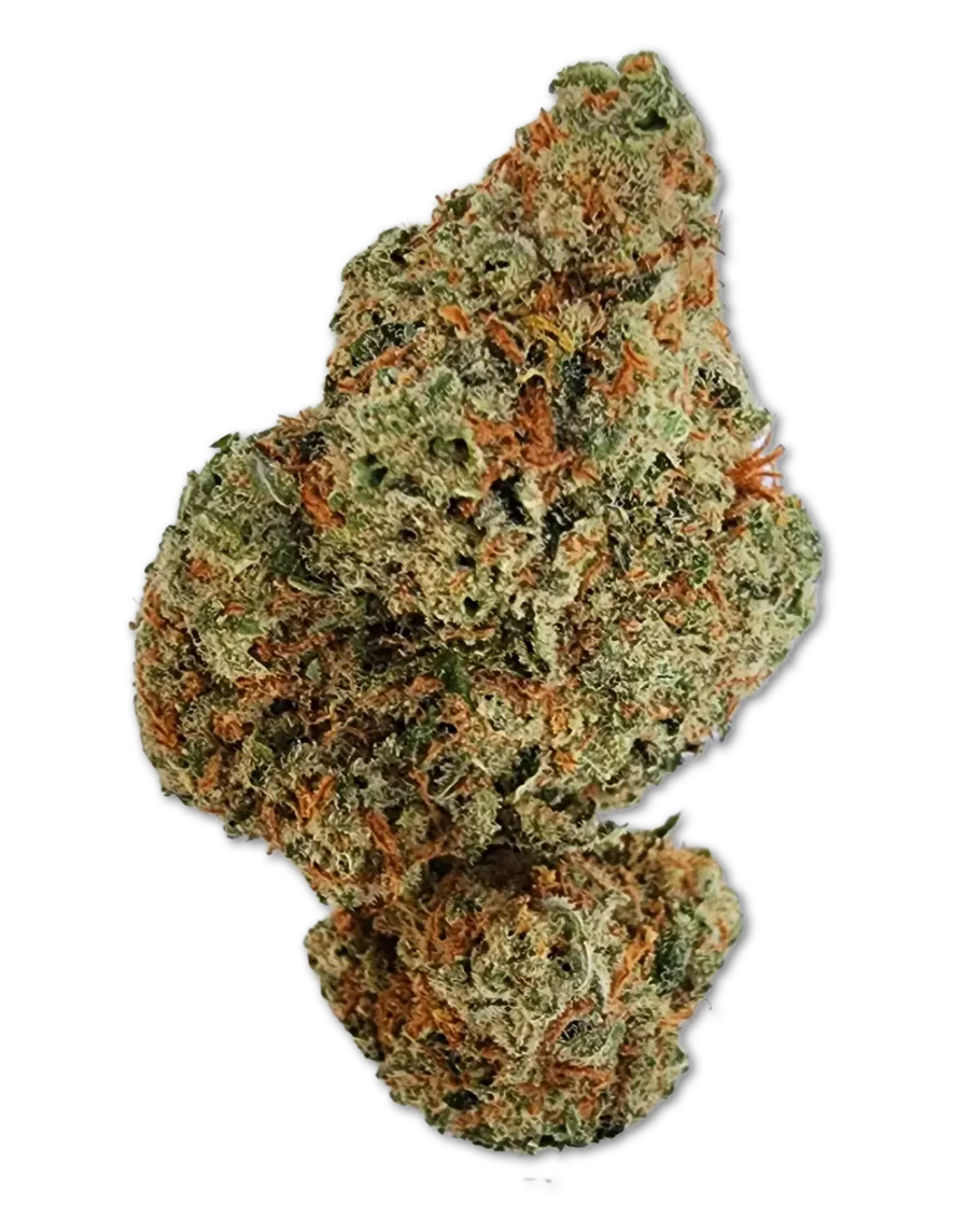 Buy Purple Punch Indica Cannabis Strain Weed online with delivery in Bangkok and Thailand