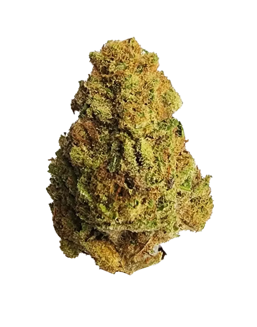 Buy Lemon Miracle CBD sativa Cannabis Strain Weed online with delivery in Bangkok and Thailand.
