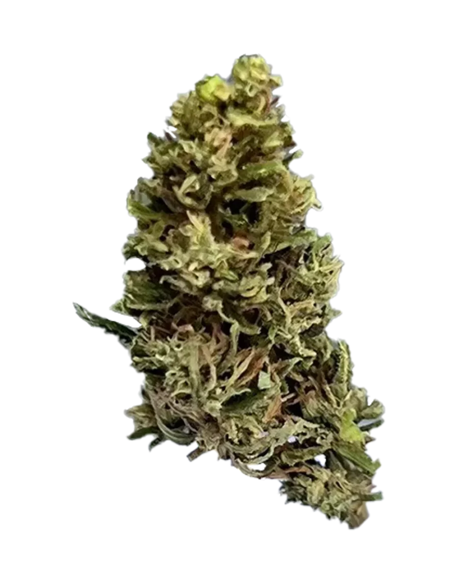 Buy Niagara CBD Cannabis Strain Weed online with delivery in Bangkok and Thailand.