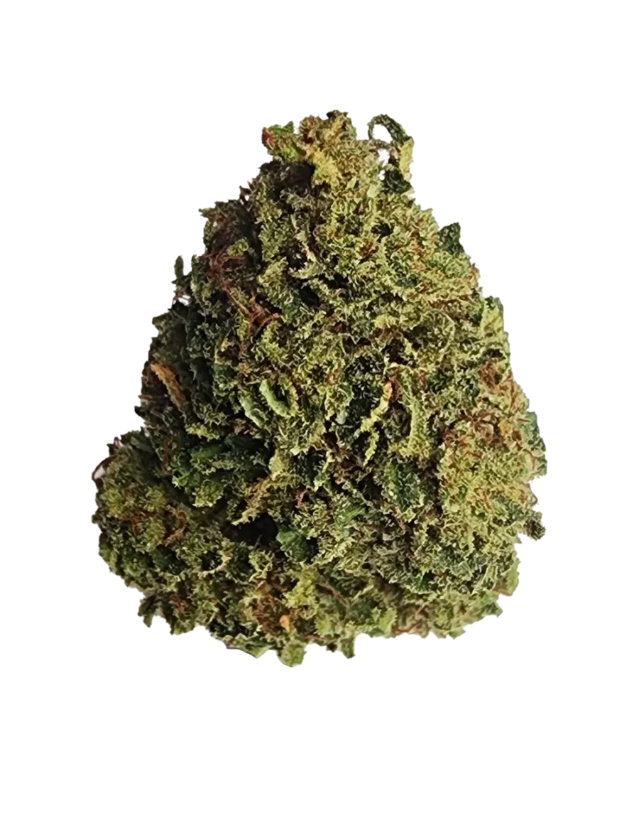 Buy Thai Mango Sticky sativa cannabis strain online with fast delivery in Bangkok and Thailand.