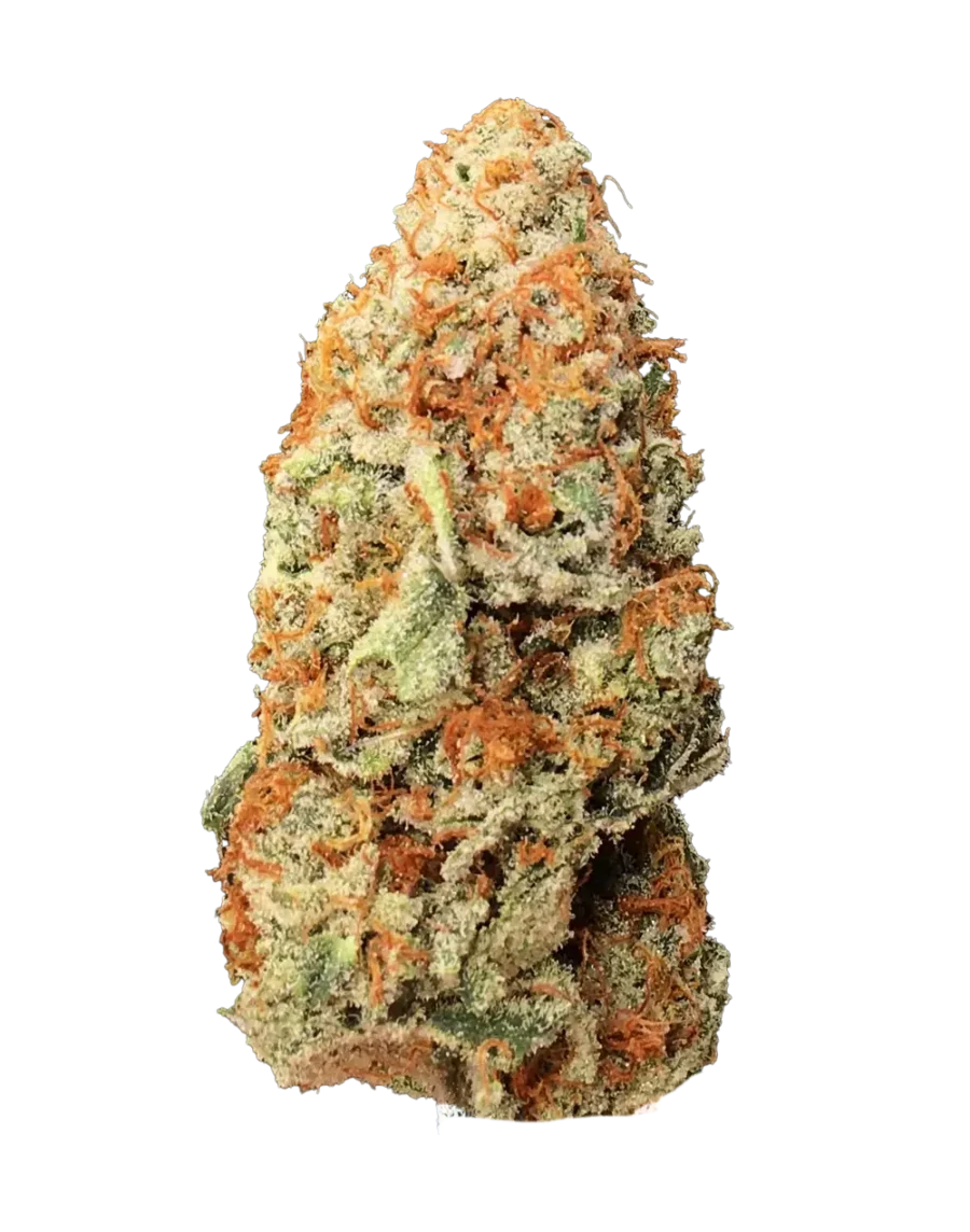 Buy Papayana sativa cannabis strain online with fast delivery in Bangkok and Thailand.