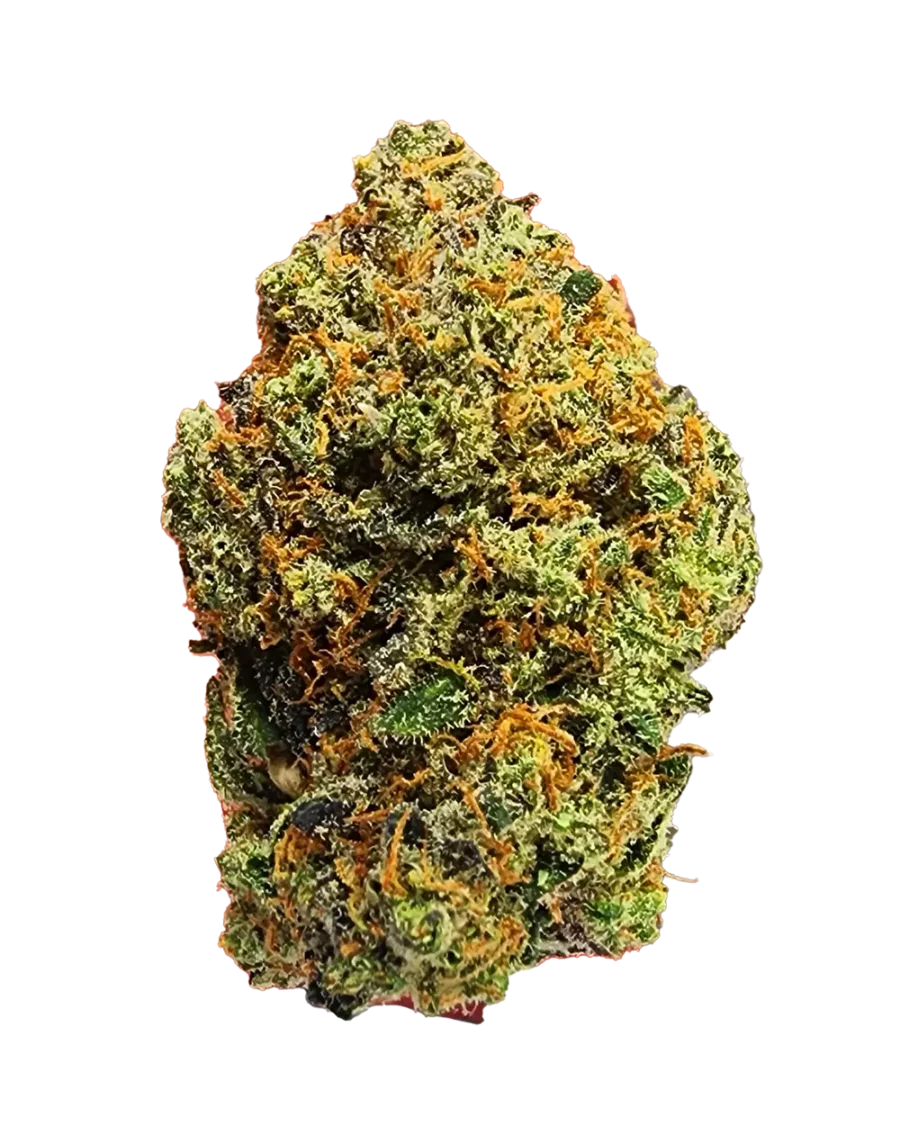Buy Sloppy Joe indica cannabis strain online with fast delivery in Bangkok and Thailand.