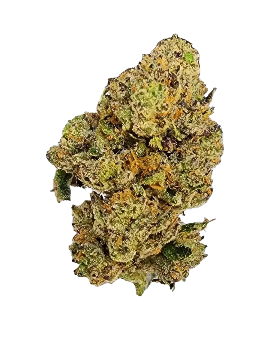 Buy Wild Cherry hybrid cannabis strain online with fast delivery in Bangkok and Thailand.