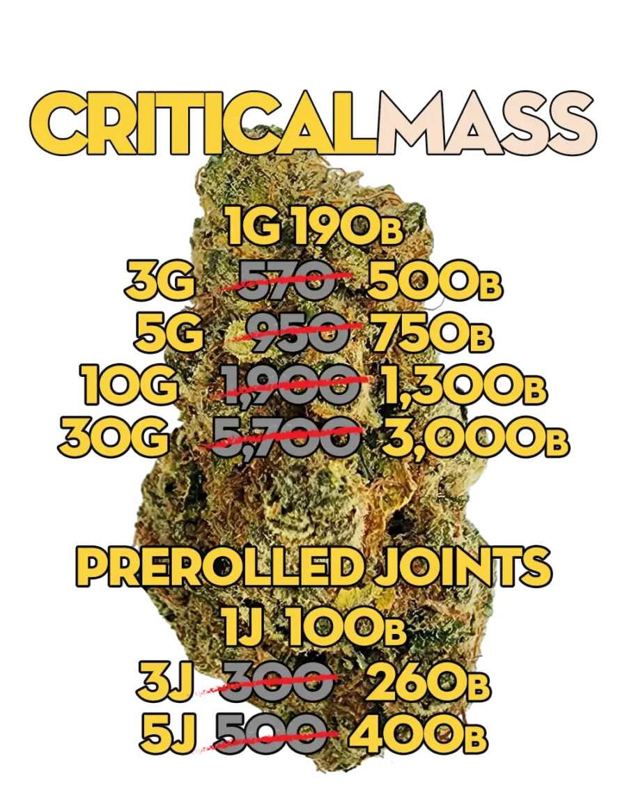 Buy Critical Mass indica strain online for fast delivery in Bangkok and Thailand.