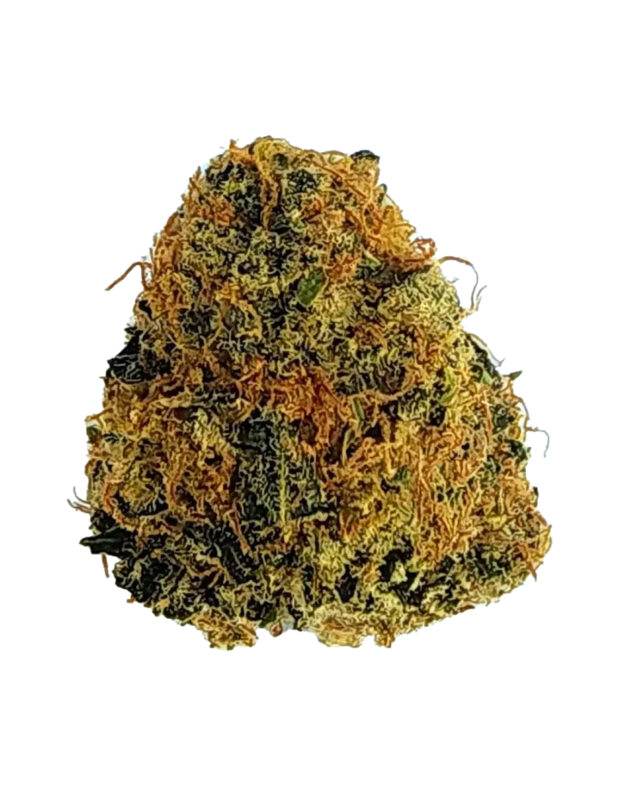 Buy Pave S1 indica hybrid cannabis strain online for fast delivery in Bangkok and Thailand.