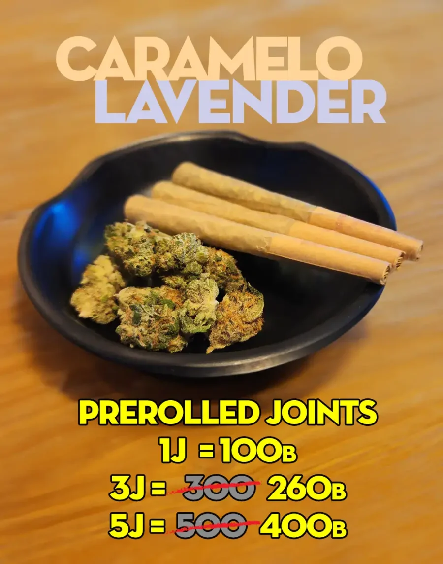 Buy Caramelo Lavender sativa hybrid cannabis strain online for fast delivery in Bangkok and Thailand.