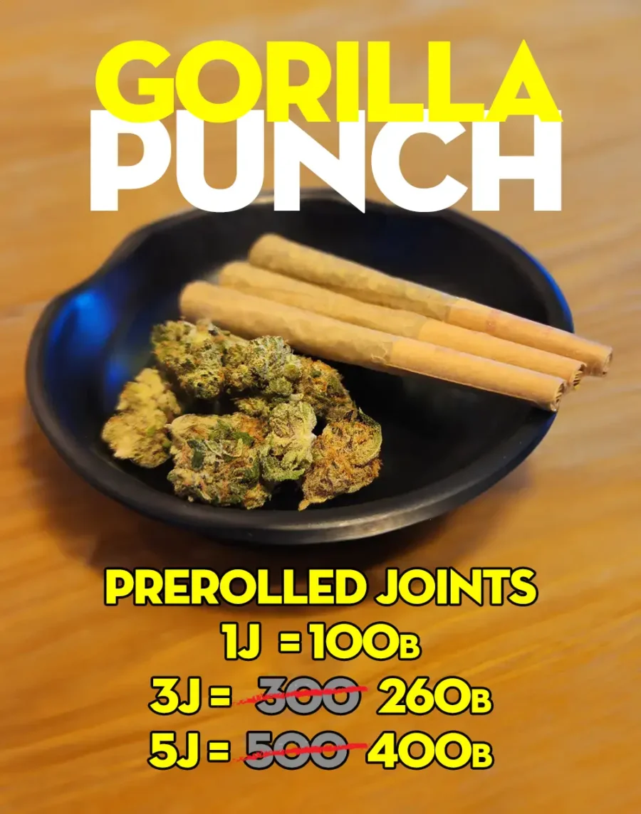 Buy Gorilla Punch sativa hybrid cannabis strain online with fast delivery in Bangkok and Thailand.